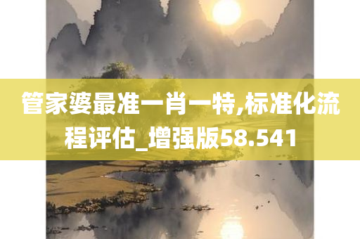 管家婆最准一肖一特,标准化流程评估_增强版58.541