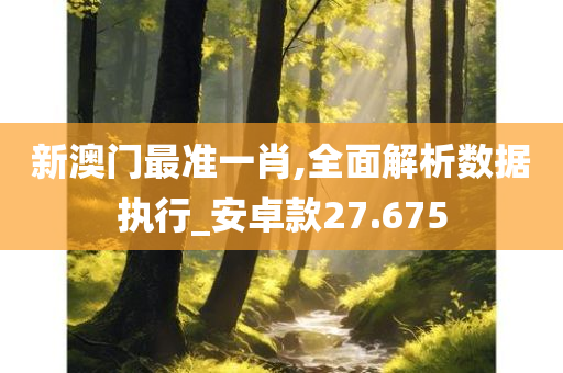 新澳门最准一肖,全面解析数据执行_安卓款27.675