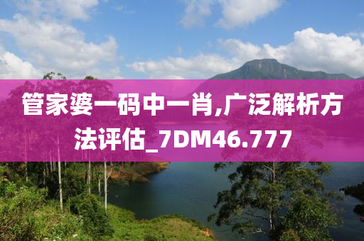 管家婆一码中一肖,广泛解析方法评估_7DM46.777