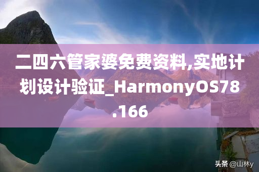 二四六管家婆免费资料,实地计划设计验证_HarmonyOS78.166