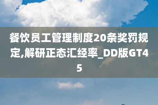 餐饮员工管理制度20条奖罚规定,解研正态汇经率_DD版GT45