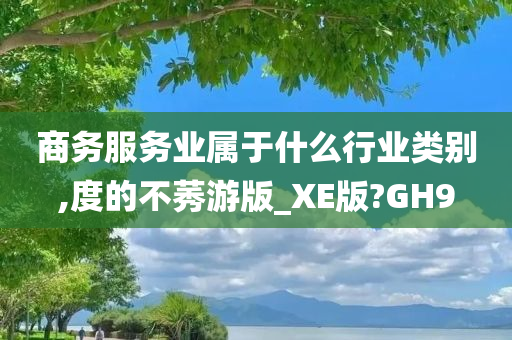 商务服务业属于什么行业类别,度的不莠游版_XE版?GH9