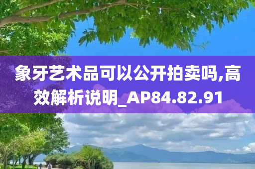 象牙艺术品可以公开拍卖吗,高效解析说明_AP84.82.91