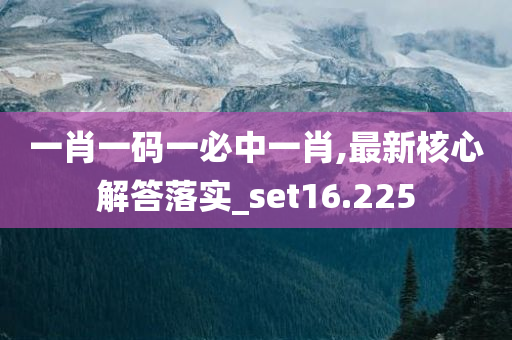 一肖一码一必中一肖,最新核心解答落实_set16.225