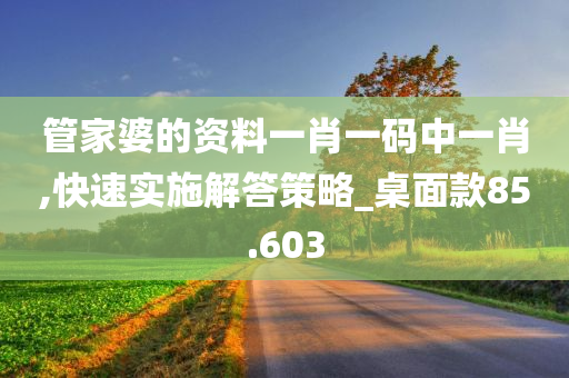 管家婆的资料一肖一码中一肖,快速实施解答策略_桌面款85.603