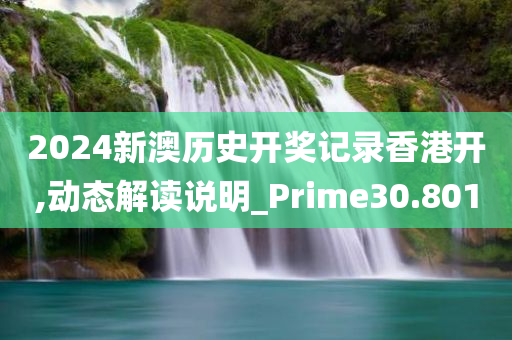 2024新澳历史开奖记录香港开,动态解读说明_Prime30.801