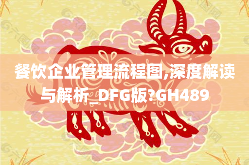 餐饮企业管理流程图,深度解读与解析_DFG版?GH489