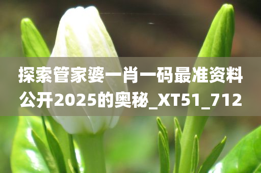 探索管家婆一肖一码最准资料公开2025的奥秘_XT51_712