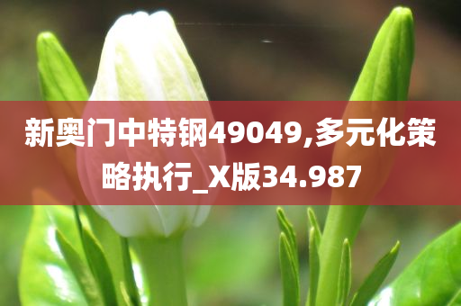 新奥门中特钢49049,多元化策略执行_X版34.987