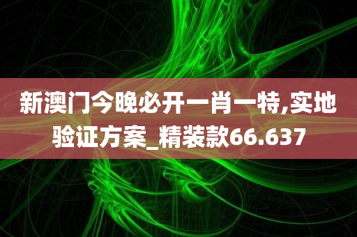 新澳门今晚必开一肖一特,实地验证方案_精装款66.637