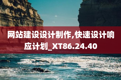 网站建设设计制作,快速设计响应计划_XT86.24.40