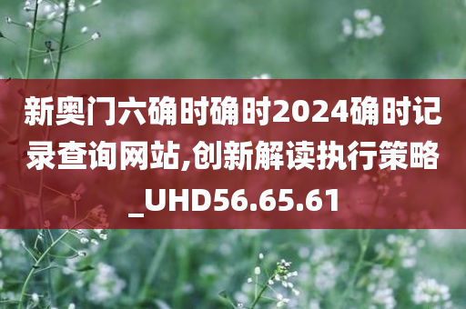 新奥门六确时确时2024确时记录查询网站,创新解读执行策略_UHD56.65.61