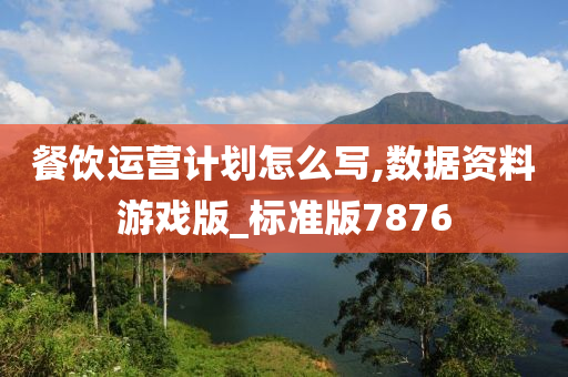 餐饮运营计划怎么写,数据资料游戏版_标准版7876