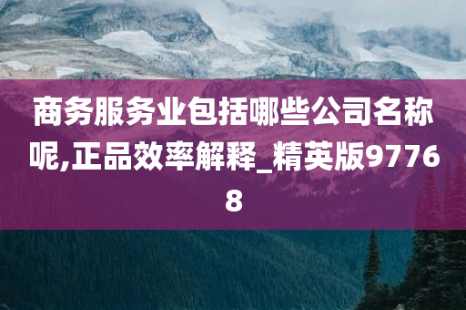 商务服务业包括哪些公司名称呢,正品效率解释_精英版97768