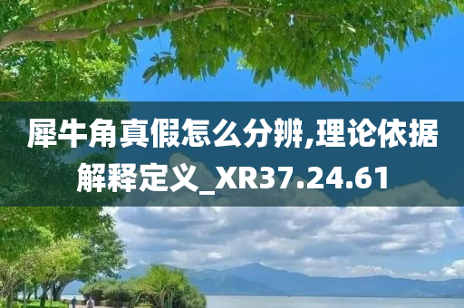 犀牛角真假怎么分辨,理论依据解释定义_XR37.24.61