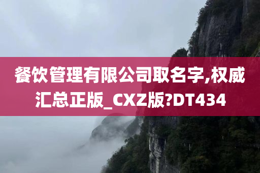 餐饮管理有限公司取名字,权威汇总正版_CXZ版?DT434