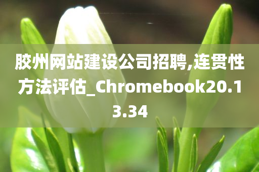 胶州网站建设公司招聘,连贯性方法评估_Chromebook20.13.34