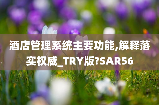 酒店管理系统主要功能,解释落实权威_TRY版?SAR56