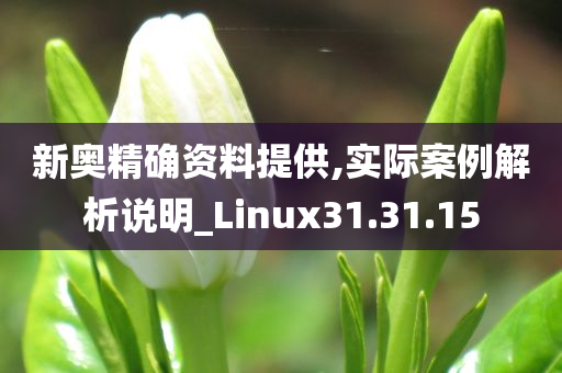 新奥精确资料提供,实际案例解析说明_Linux31.31.15