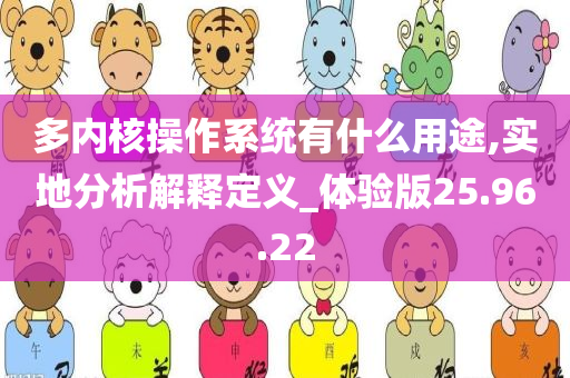 多内核操作系统有什么用途,实地分析解释定义_体验版25.96.22