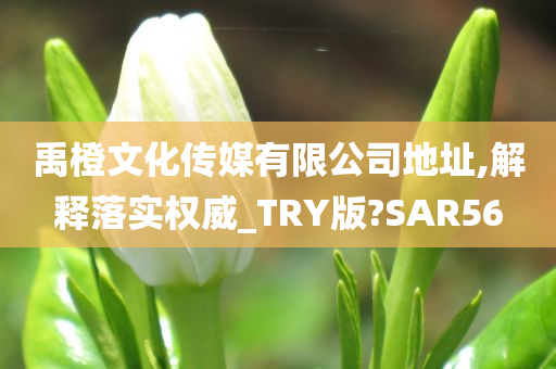 禹橙文化传媒有限公司地址,解释落实权威_TRY版?SAR56