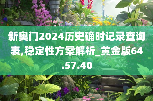 新奥门2024历史确时记录查询表,稳定性方案解析_黄金版64.57.40