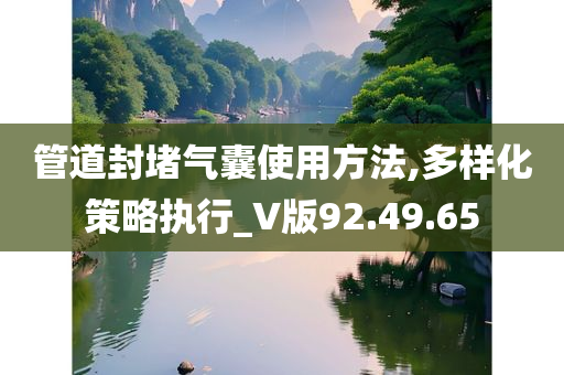 管道封堵气囊使用方法,多样化策略执行_V版92.49.65