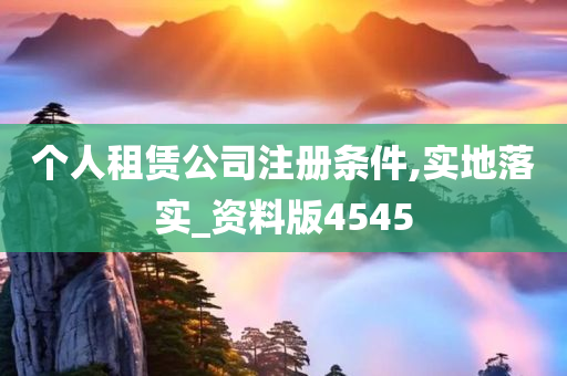 个人租赁公司注册条件,实地落实_资料版4545