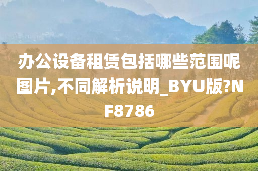 办公设备租赁包括哪些范围呢图片,不同解析说明_BYU版?NF8786