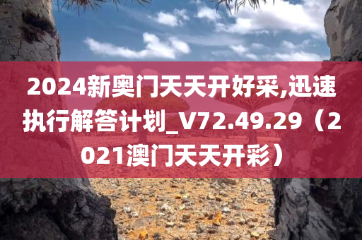 2024新奥门天天开好采,迅速执行解答计划_V72.49.29（2021澳门天天开彩）