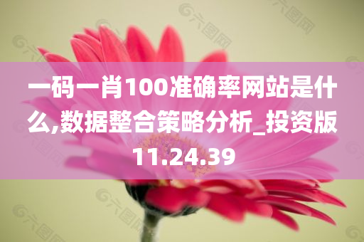 一码一肖100准确率网站是什么,数据整合策略分析_投资版11.24.39