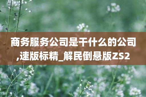 商务服务公司是干什么的公司,速版标精_解民倒悬版ZS2