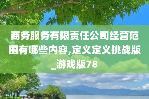 商务服务有限责任公司经营范围有哪些内容,定义定义挑战版_游戏版78