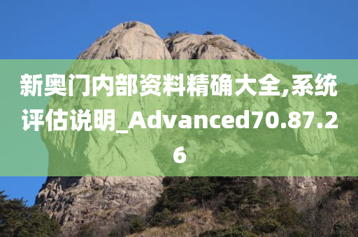 新奥门内部资料精确大全,系统评估说明_Advanced70.87.26