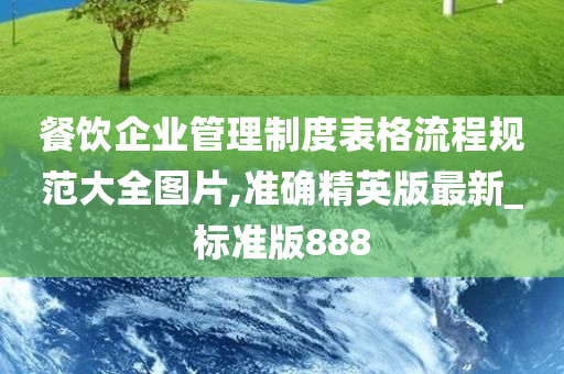 餐饮企业管理制度表格流程规范大全图片,准确精英版最新_标准版888