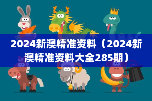 2024新澳精准资料（2024新澳精准资料大全285期）