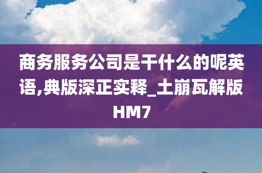 商务服务公司是干什么的呢英语,典版深正实释_土崩瓦解版HM7