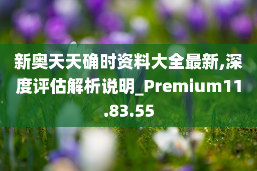 新奥天天确时资料大全最新,深度评估解析说明_Premium11.83.55