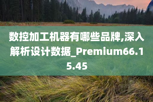 数控加工机器有哪些品牌,深入解析设计数据_Premium66.15.45