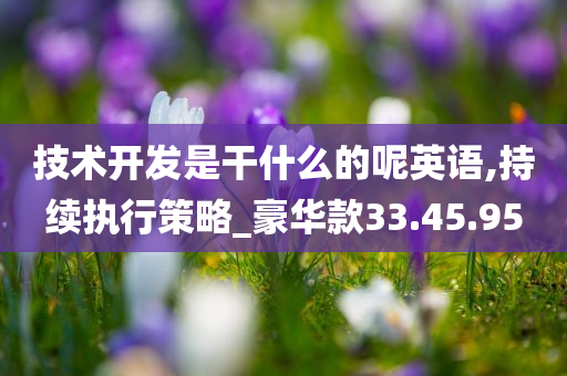 技术开发是干什么的呢英语,持续执行策略_豪华款33.45.95