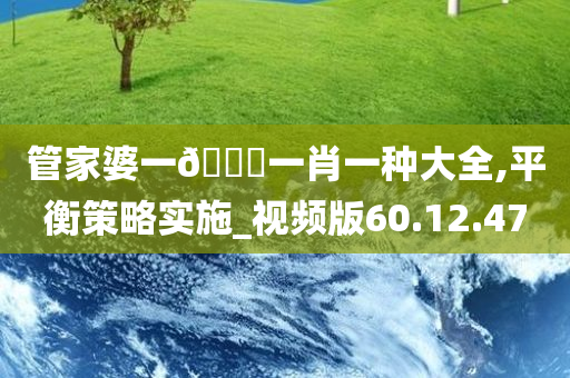 管家婆一🐎一肖一种大全,平衡策略实施_视频版60.12.47