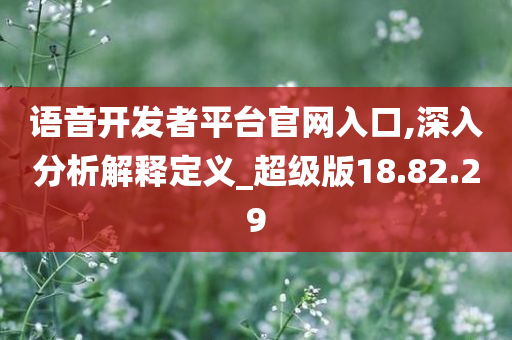 语音开发者平台官网入口,深入分析解释定义_超级版18.82.29