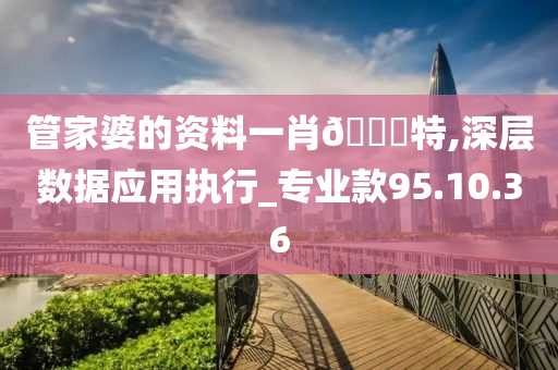 管家婆的资料一肖🀄特,深层数据应用执行_专业款95.10.36