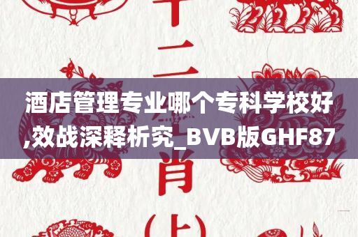 酒店管理专业哪个专科学校好,效战深释析究_BVB版GHF87