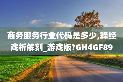 商务服务行业代码是多少,释经戏析解刻_游戏版?GH4GF89