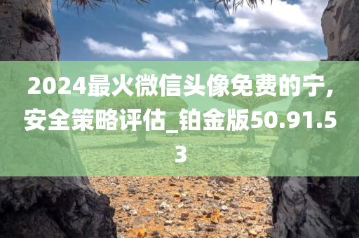 2024最火微信头像免费的宁,安全策略评估_铂金版50.91.53