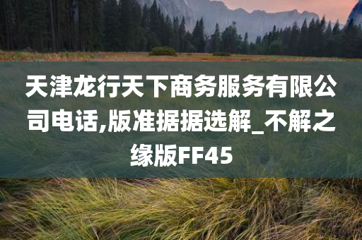 天津龙行天下商务服务有限公司电话,版准据据选解_不解之缘版FF45