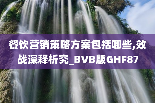 餐饮营销策略方案包括哪些,效战深释析究_BVB版GHF87