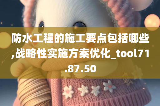 防水工程的施工要点包括哪些,战略性实施方案优化_tool71.87.50