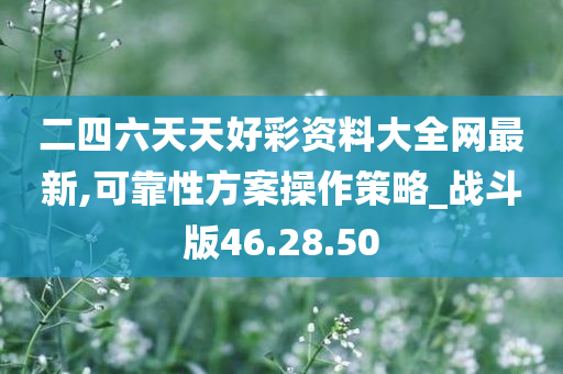 二四六天天好彩资料大全网最新,可靠性方案操作策略_战斗版46.28.50